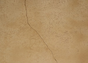 鳩はどのくらい種類がある？